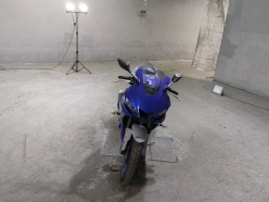 Yamaha YZF-R25  2014