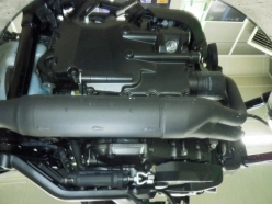 Honda REBEL 1100 DCT  2026