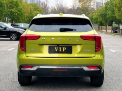 Haval Jolion 1.5T "Dasang" Edition 2021