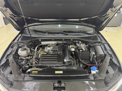 Volkswagen Magotan 280 TSI DSG Leading Edition 2021
