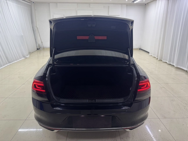 Volkswagen Magotan 280 TSI DSG Leading Edition 2021