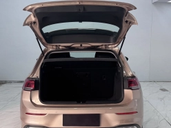 Volkswagen Golf 280TSI DSG Pro Edition 2021