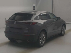 Mazda CX-30 XD Pro Active ﾂ-ﾘﾝｸ 4WD 2021