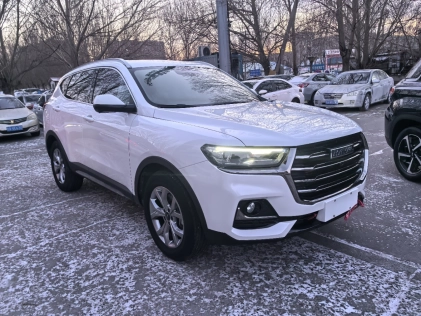 Haval H6 National Tide Edition, 1.5T 2WD Champion Edition 2021