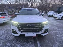 Haval H6 National Tide Edition, 1.5T 2WD Champion Edition 2021