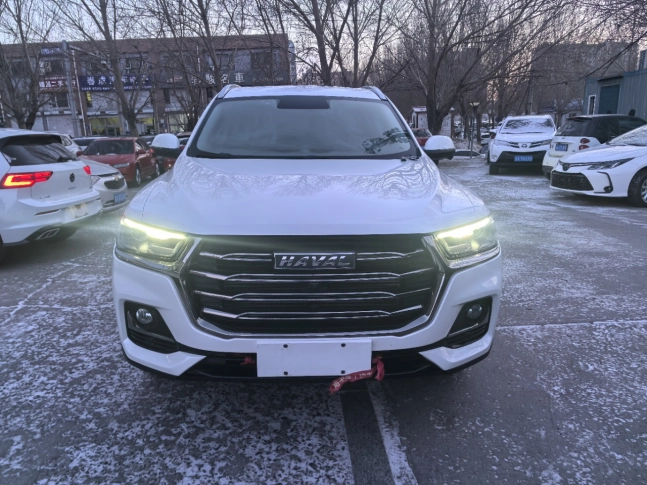 Haval H6 National Tide Edition, 1.5T 2WD Champion Edition 2021