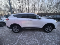 Haval H6 National Tide Edition, 1.5T 2WD Champion Edition 2021