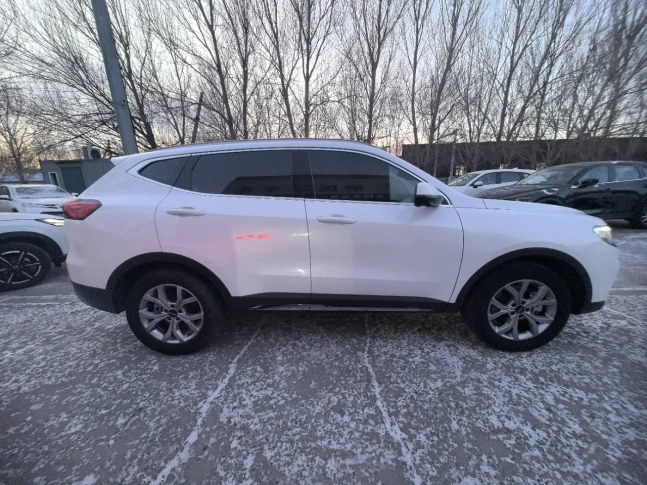 Haval H6 National Tide Edition, 1.5T 2WD Champion Edition 2021