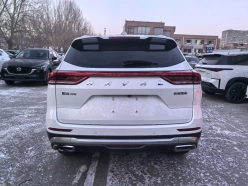 Haval H6 National Tide Edition, 1.5T 2WD Champion Edition 2021