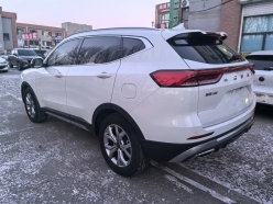 Haval H6 National Tide Edition, 1.5T 2WD Champion Edition 2021