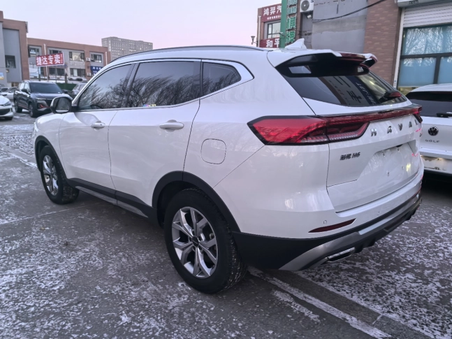 Haval H6 National Tide Edition, 1.5T 2WD Champion Edition 2021